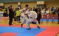 2014 Second Hong Kong Goju Ryu Karate Contest 