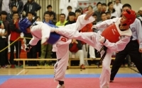 2013-14 USFHK Taekwondo