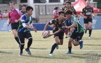 2014-15 Rugby Team / Club